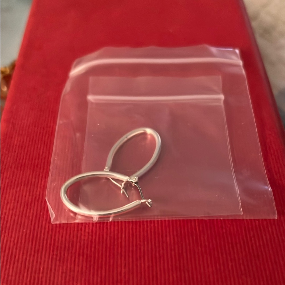 Elegant Silver Hoop Earrings